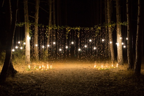 best outdoor lights for trees